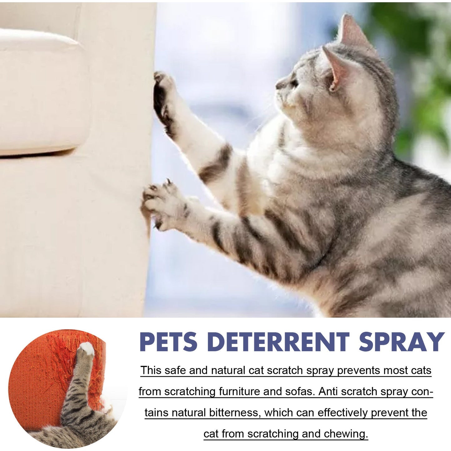 50ml Pet Cleaning Spray for Odor and Stain Removal Pack