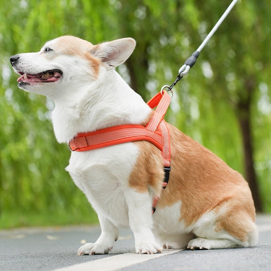 Adjustable Rope Chest Strap Harness for Pets Polyester with Chain Ring